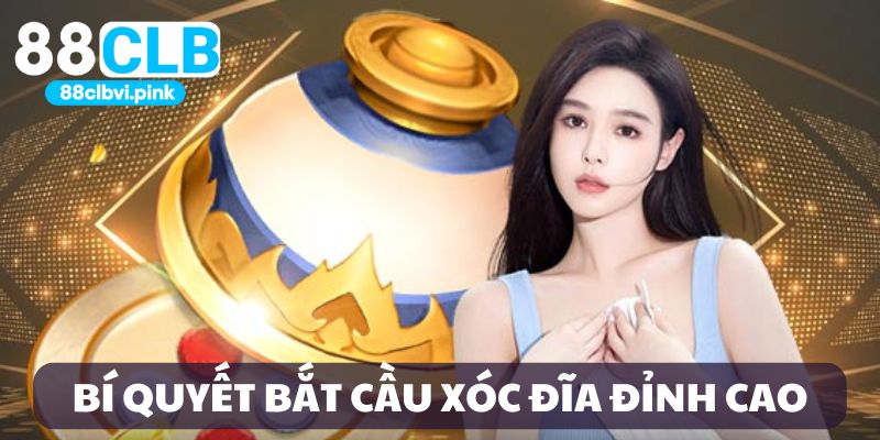 Bí quyết bắt cầu Xóc đĩa